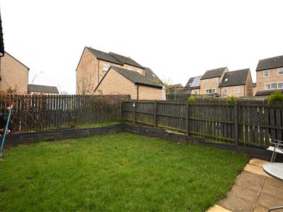 Picture 19